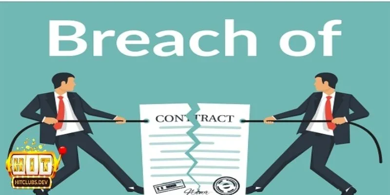 Chi tiết các điều khoản miễn trừ nghĩa vụ pháp lý